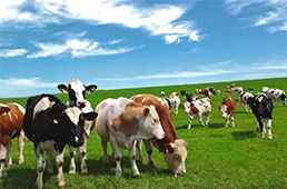 海欣食品全面扭虧，營收猛增13.48%/三全食品營收同比增12.87%