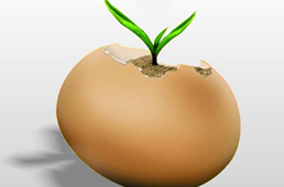 中國煎餅在美國一個(gè)賣15美元，下一個(gè)走出國門的會(huì)是哪個(gè)？