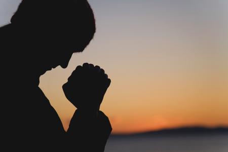 “蘇阿姨”宣告破產(chǎn) 負(fù)債總額超1.2億元