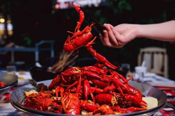 潛江小龍蝦竟搶早1個(gè)月上市！塊頭雖大口感品質(zhì)欠佳