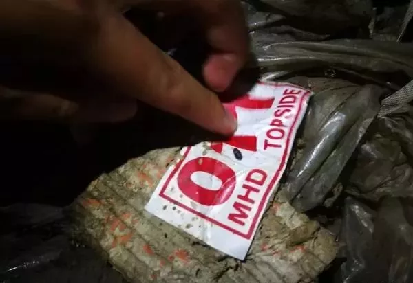 金平私挖走私凍肉事件調(diào)查：挖一斤可賣5元，一過秤就給錢