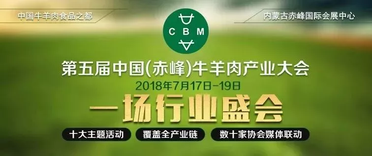 今天很痛苦，但明天很美好 規(guī)模肉牛企業(yè)發(fā)展長線看好