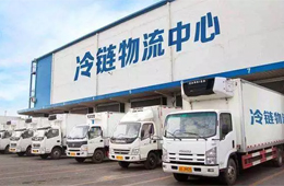 政策福利！冷鏈物流企業(yè)最高可領(lǐng)500萬元補(bǔ)貼