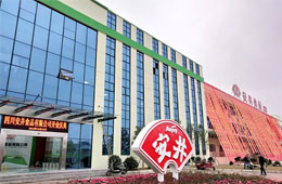 安井只是賣丸子的？不，它已成速凍品類“三劍客