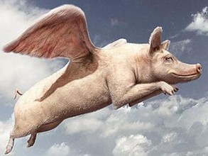 最大養(yǎng)豬戶巨虧4.6億元！風口上的“二師兄”為啥沒飛？