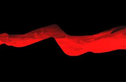 行業(yè)丨速凍食品新國(guó)家標(biāo)準(zhǔn)正式實(shí)施，這些“紅線”要注意了！