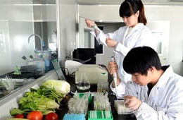 做研發(fā)一年花6838萬，安井“砸錢”氣勢直逼雙匯