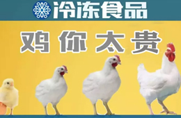 量?jī)r(jià)齊升，養(yǎng)白羽肉雞咋還虧了？