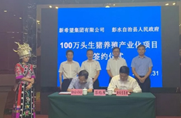 新希望六和落子渝豫甘，生豬規(guī)模再增200萬頭！