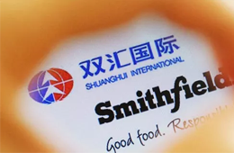 增收不增利，雙匯發(fā)展如何應(yīng)對“二師兄”漲價