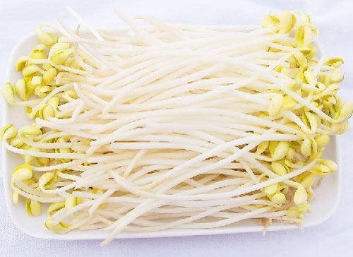 視頻 | 只知道大張超市厲害，沒想到它的豆芽工廠也這么牛