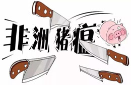 官宣 | 農(nóng)業(yè)農(nóng)村部：28省非瘟疫區(qū)解除封鎖，“豬荒”年底前有望緩解