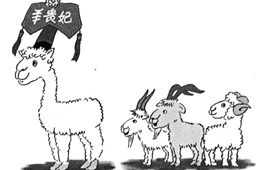 比去年同期上漲35%，價(jià)格井噴的“羊貴妃”路在何方？