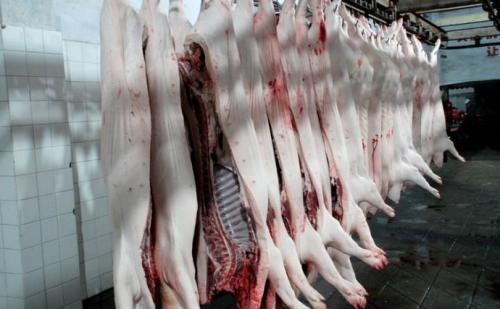 視頻丨嚴、精、快、準！正大集團的豬肉屠宰加工流程