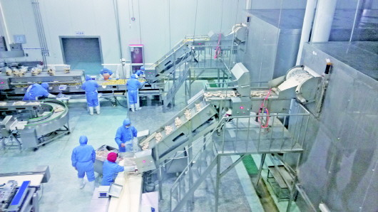  蚊蟲、毛發(fā)、焊渣……食品車間異物如何“一掃光”