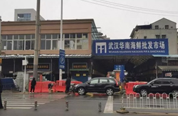 武漢華南海鮮市場(chǎng)元旦起休市，恢復(fù)營(yíng)業(yè)時(shí)間未定