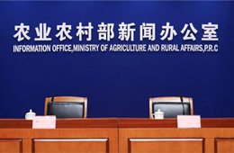 非瘟爆發(fā)至今，全國共撲殺生豬120萬頭；2萬噸儲(chǔ)備肉今日出庫競價(jià)