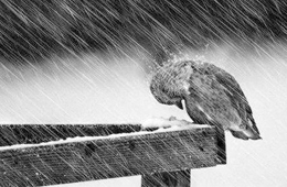 熱點(diǎn) | 海欣營(yíng)銷總監(jiān)給經(jīng)銷商的自救指南：立即行動(dòng)，應(yīng)對(duì)變化！