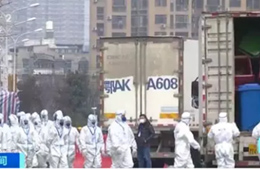 武漢華南海鮮市場完成大規(guī)模消殺；牛蛙、烏龜不列入禁食范圍