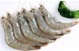 白蝦最新報(bào)價(jià)！多地凍品市場(chǎng)冷清，餐飲不足三成！有業(yè)者卻另辟蹊徑獲“爆單”