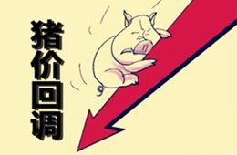  農(nóng)業(yè)農(nóng)村部：豬肉價(jià)格連8周回落，高峰或在9月前后出現(xiàn)