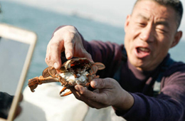 一季度電商直播超400萬(wàn)場(chǎng)！直播帶貨到底有多火？為何海鮮永遠(yuǎn)是爆品？