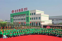 華南基地簽約，河南工廠揭牌，安井 “銷地產(chǎn)”布局又有新動作