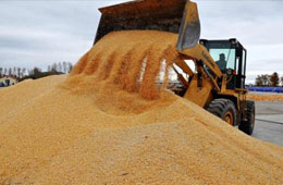  疫情全球肆虐，為什么我國不會出現(xiàn)糧食危機(jī)?