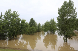火速馳援！三全、白象、好想你奔赴抗洪一線捐贈美食