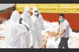 水產(chǎn)、禽肉、豬肉、牛肉…多種進(jìn)口凍品連續(xù)檢出新冠陽(yáng)性，冷鏈追溯構(gòu)筑防控“安全鏈”