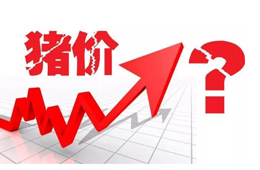 豬價(jià)又“變臉”，新一波漲勢(shì)來了？農(nóng)業(yè)農(nóng)村部：或持續(xù)到元旦春節(jié)