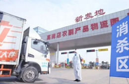 北京新發(fā)地暫停凍品等銷售和儲(chǔ)存；天津海聯(lián)冷庫(kù)感染源為北美豬頭