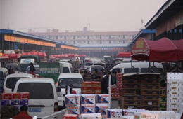 追蹤 | 冷庫停業(yè)，旺季將至，急壞凍品人！怎么辦？