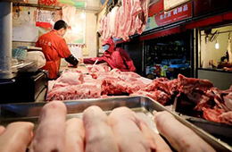豬、牛、羊等肉類價格集體上漲，年關(guān)怎么過？