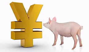 誰是國內(nèi)養(yǎng)豬第一大??？