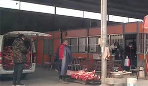 又見瘦肉精，河北青縣問題羊肉流向河南等地！當?shù)卣o急回應