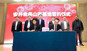 安井新動作：國內(nèi)密集布局產(chǎn)能，海外收購英國公司開啟國際