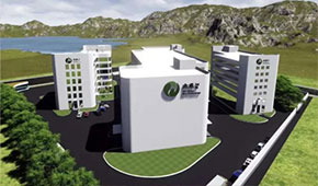 植物肉風(fēng)口下的“黑馬”，三全、思念都選它