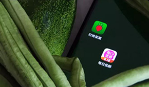 叮咚買菜、每日優(yōu)鮮接連上市，是否持續(xù)利好預(yù)制菜成為“家常菜”？