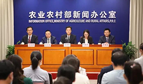 豬價下跌豬企承壓，有企業(yè)半年預(yù)虧34.5億，國家第三次出手收儲