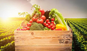 麥金地：從餐配轉(zhuǎn)型食品加工，“三級(jí)廚房”打造全國(guó)供應(yīng)鏈集群