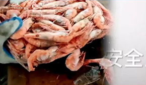 生產(chǎn)日期隨意改、過期蝦換包裝秒變合格品……味庫海鮮攤上事了，曾獲6輪融資