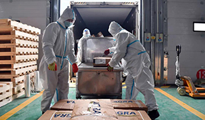 全國28個省份已建成869個集中監(jiān)管倉，進(jìn)口冷鏈“國家平臺”將升級2.0版