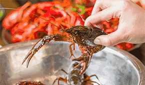 疫情之下，餐飲圈為啥都賣起了小龍蝦？