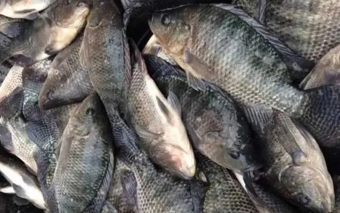 1654652568423673.jpg 1654652568423673.jpg