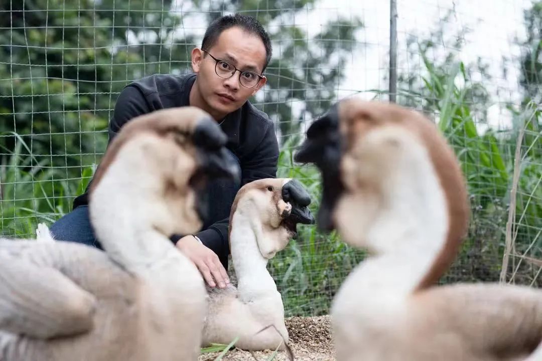 1656557113833237.jpg 1656557113833237.jpg