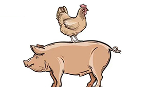 國慶長假后豬、雞價格雙升，發(fā)改委稱近期將投放第五批中央豬肉儲備