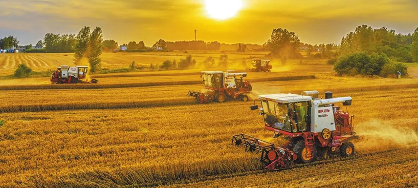 全國7/10的餃子、3/5的湯圓、1/2的火腿腸…河南這樣承包國人餐桌