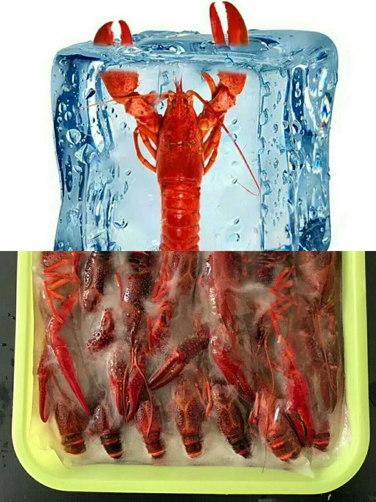 1682558417328692.jpg 1682558417328692.jpg