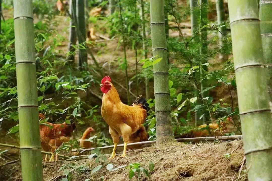 1683168760901238.jpg 1683168760901238.jpg